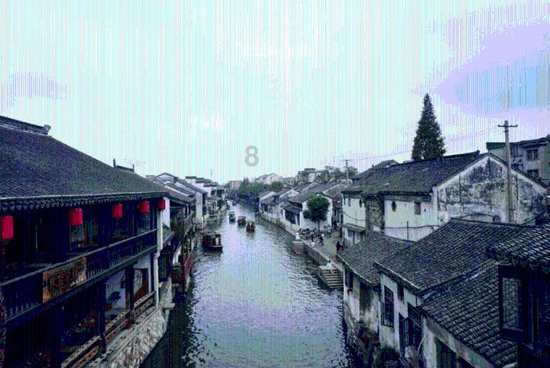 救援深海动物